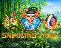 Shaolin Tiger